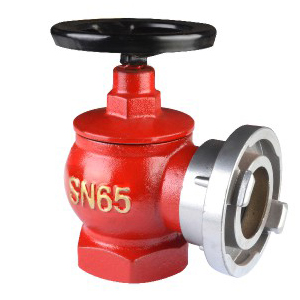 SNZ65旋转型室内消火栓